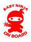 Ninja on Board